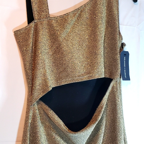 Peek-A-Boo Sparkle Rose Gold Dress - Picture 6 of 7